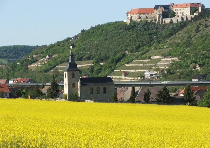 31443 Reisen - Schloss Neuenburg