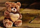 17101 Tierwelt - Teddy-Liebe
