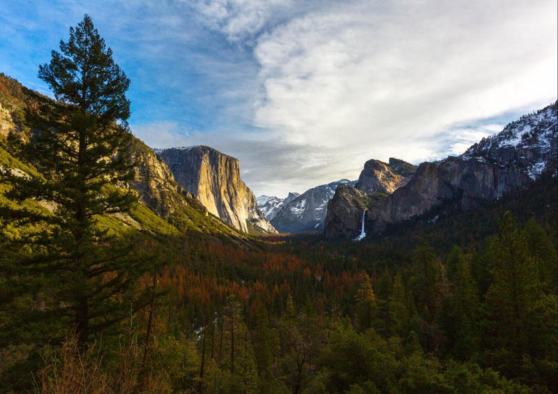 23408 Natur - Yosemite Nationalpark