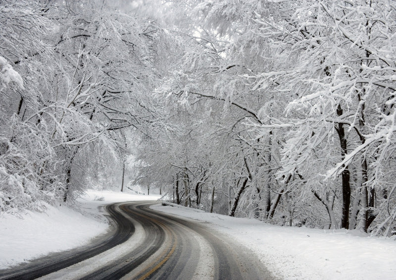 37491 Natur - Winter-Wunderland