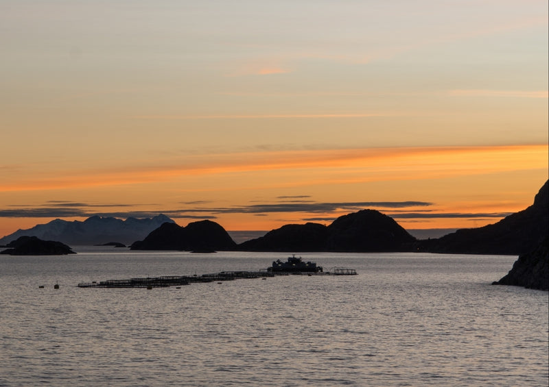 37144 Natur - Norwegen küste