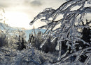 33878 Natur - Winterlandschaft