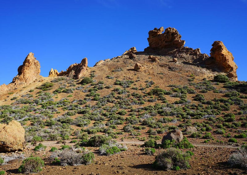 16921 Natur - Roques De Garcia