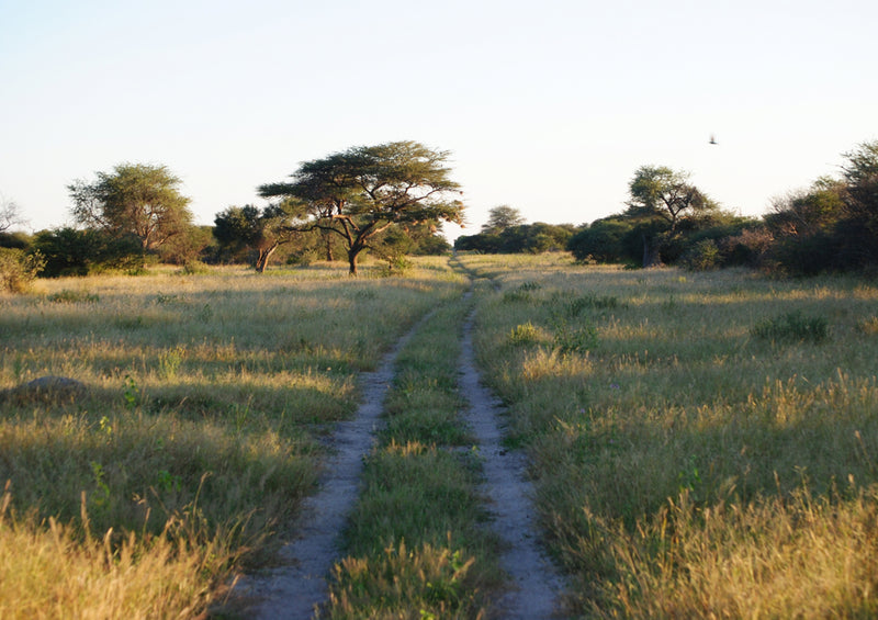 83685 Natur - Namibia