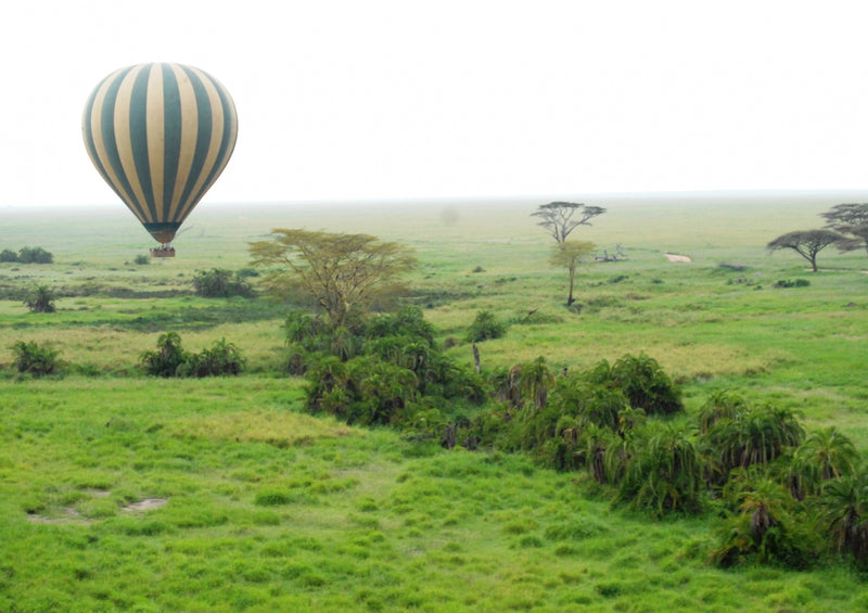 82900 Natur - Afrika