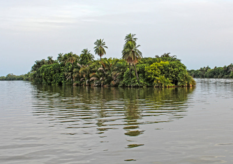 80336 Natur - Afrika