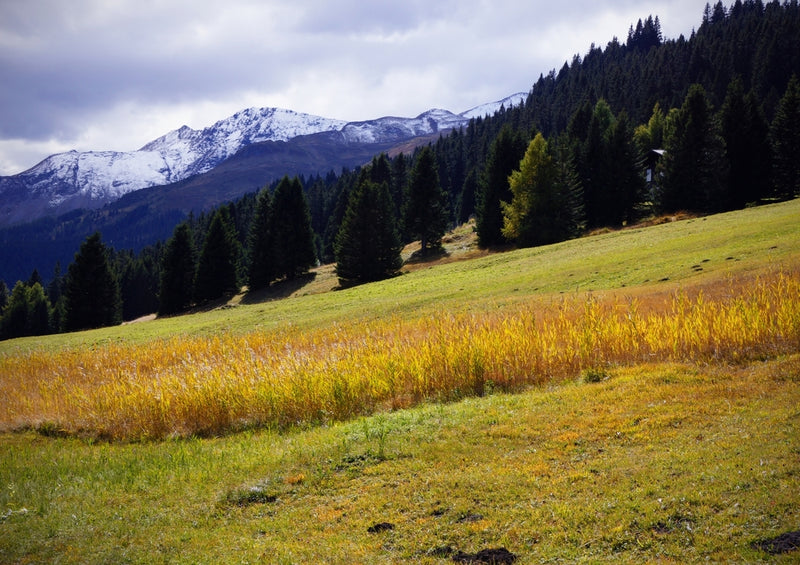 39273 Natur - Herbst