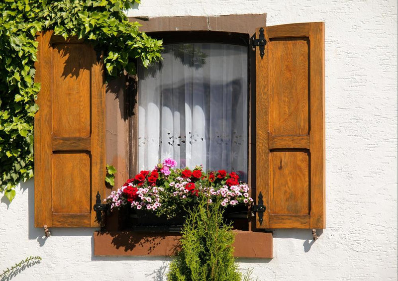 25165 Gebäude - Blumen-Fenster