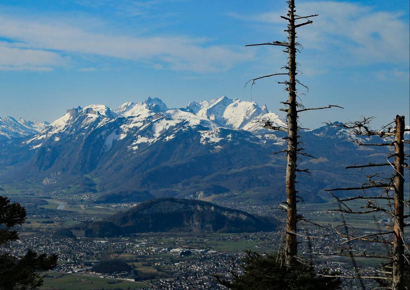 20173 Natur - Hohenems