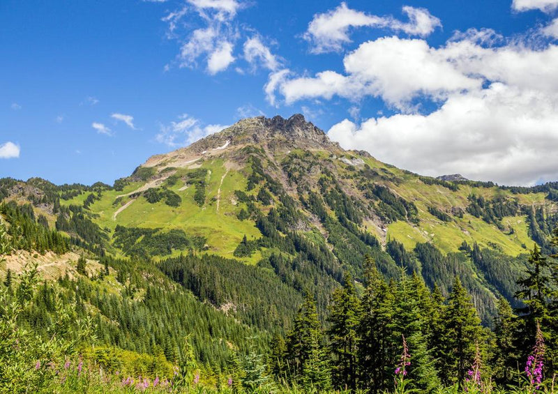 28068 Reisen - Berglandschaft