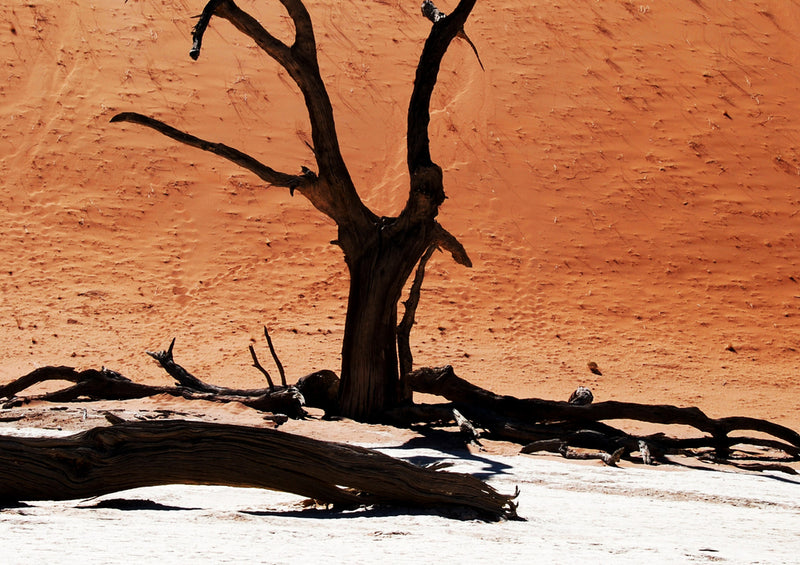 76858 Natur - Namibia