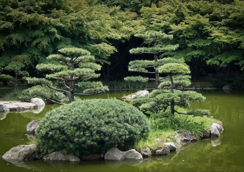 22958 Natur - Japanischer Garten