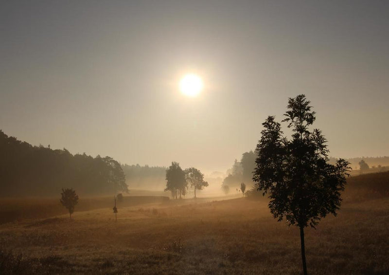 17233 Reisen - Heide-Landschaft