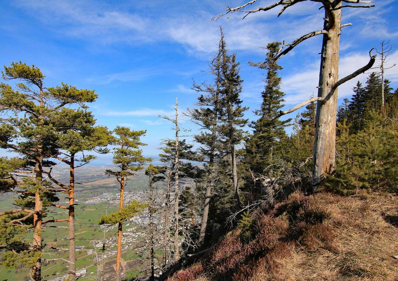 20102 Natur - Berg-Blick