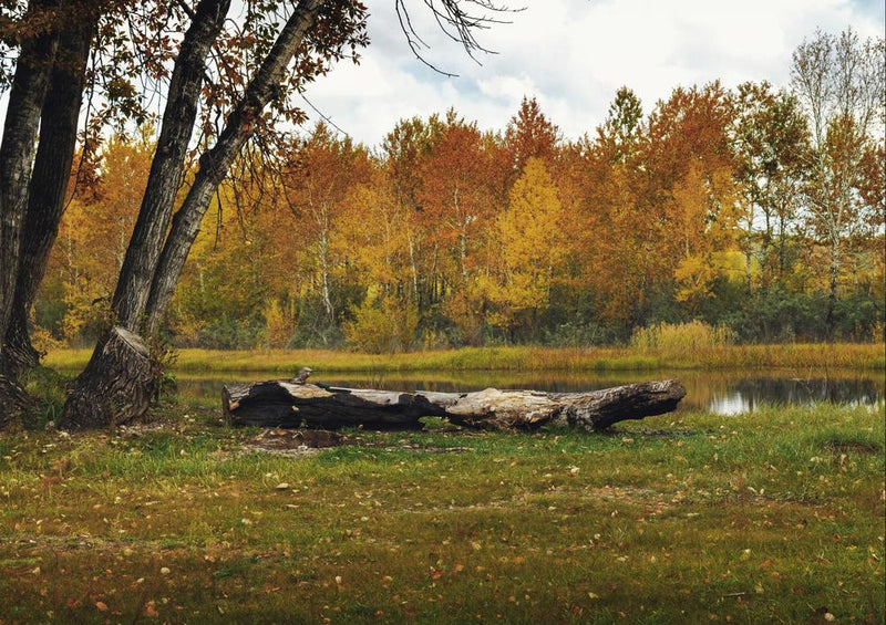 28072 Natur - Herbst