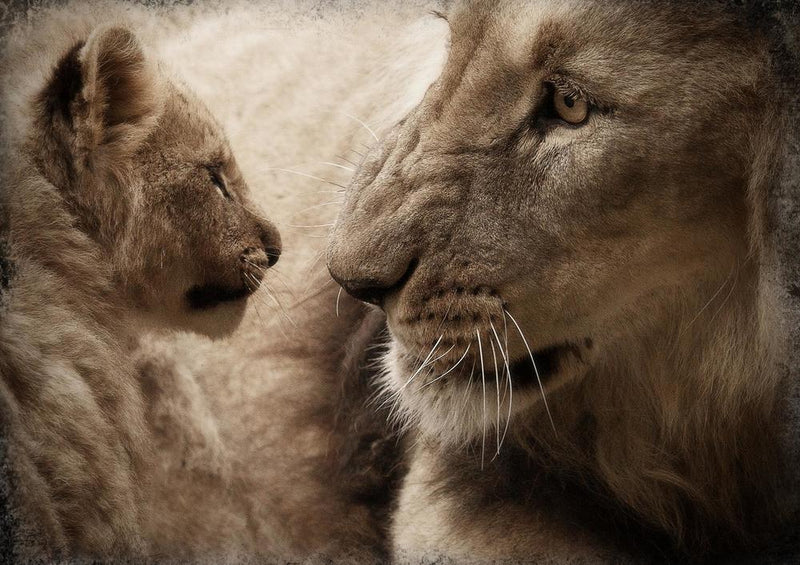 16869 Tierwelt - Löwe mit Baby