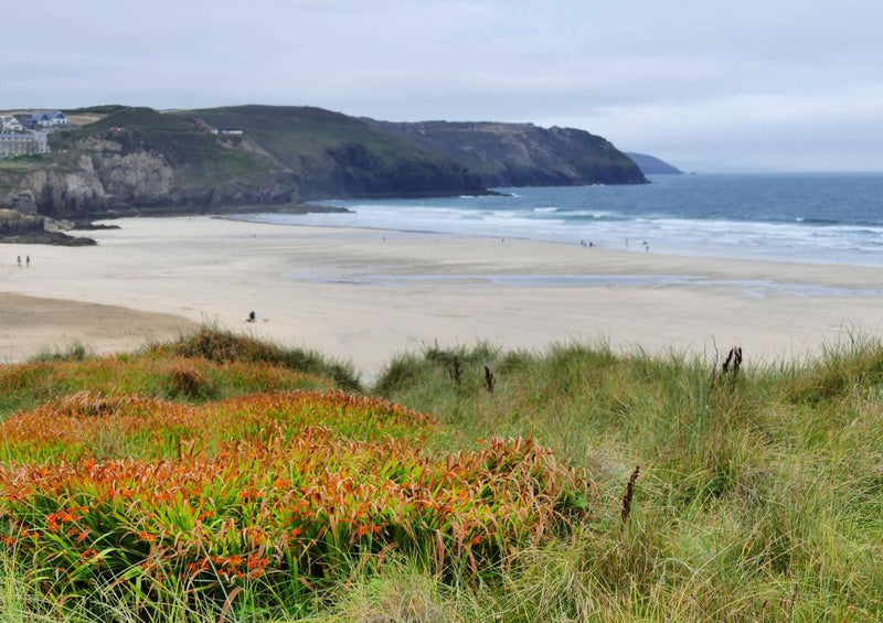 20803 Natur - Küste von Cornwall