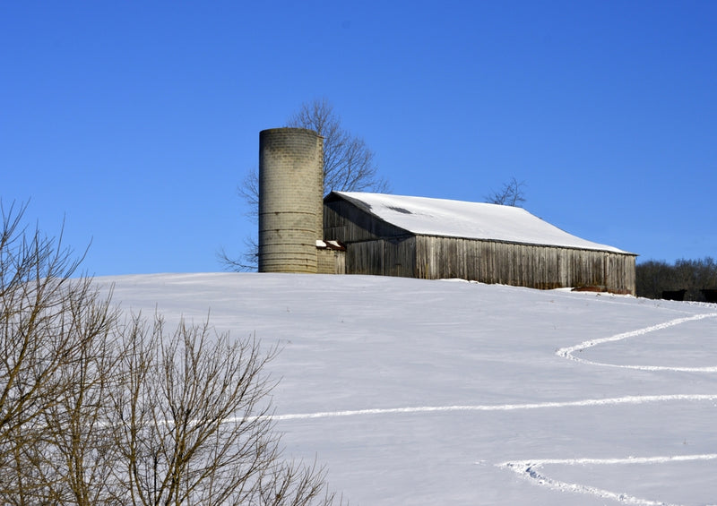 37511 Natur - Winter