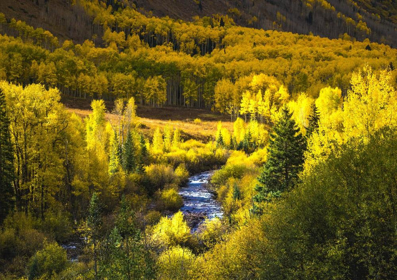 31379 Natur - Colorado
