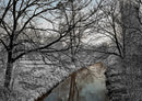 37345 Natur - Winterlandschaft