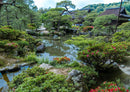 24777 Natur - Japanischer Garten