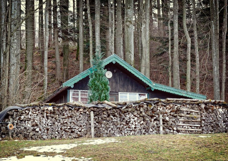 18019 Gebäude - Holz-Haus