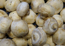 39251 Ernährung - Champignons