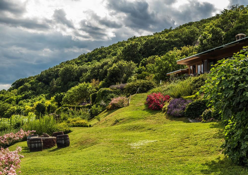 22953 Natur - Ferien am Hang