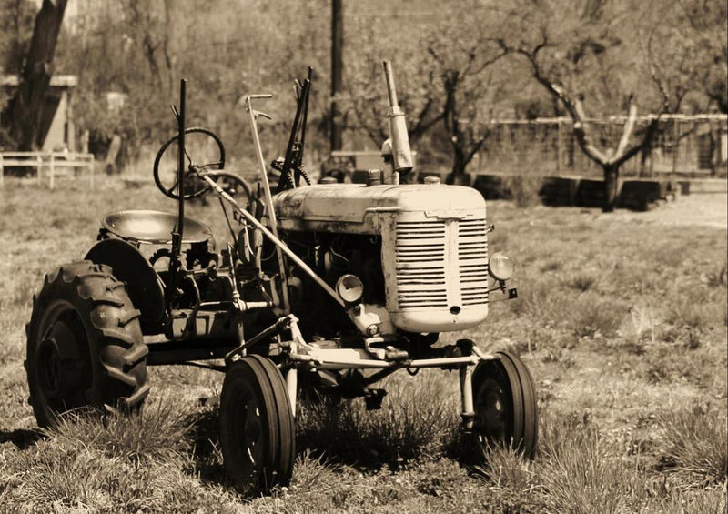18731 Fortbewegung - Traktor