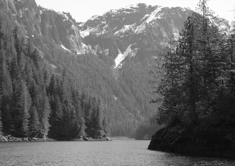 31914 Natur - Misty fjords