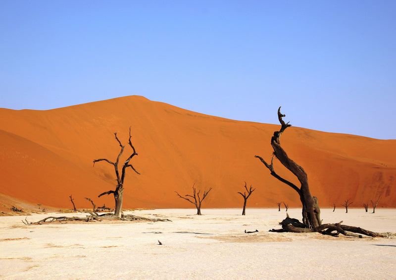 83675 Natur - Namibia