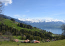34819 Orte - Berner Oberland