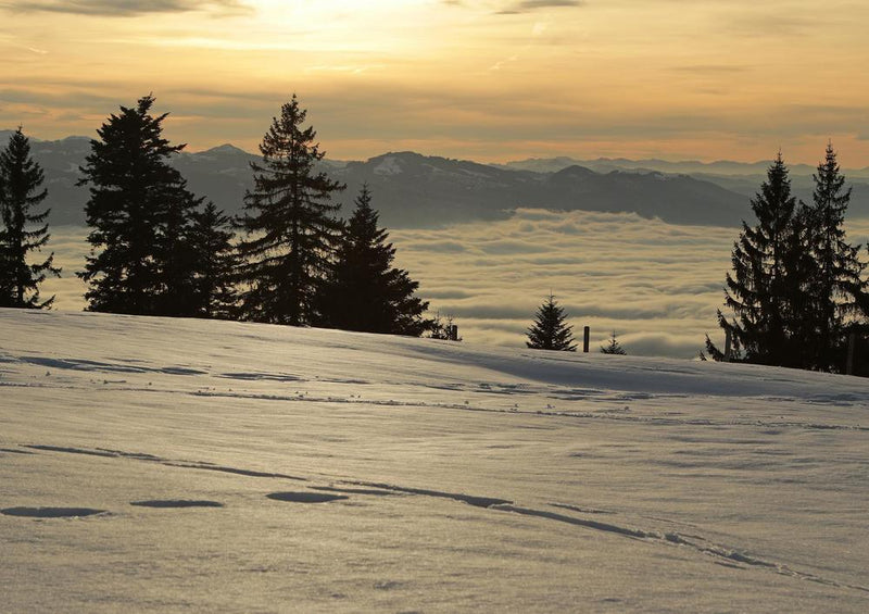 31222 Natur - Sonnenuntergang