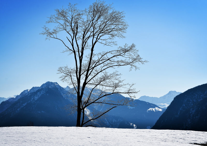 37411 Natur - Winter