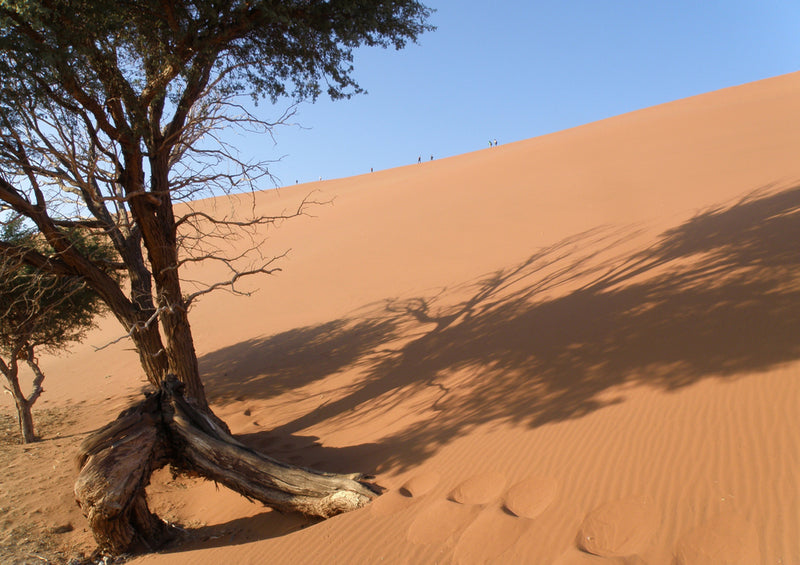 70730 Natur - Namibia