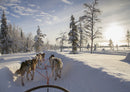 69476 Natur - Finnland