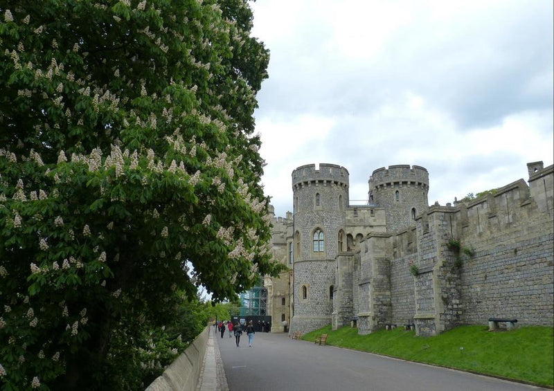 22873 Reisen - Windsor Castle