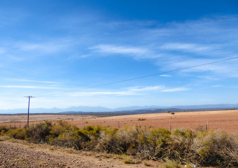 81960 Natur - Steppe