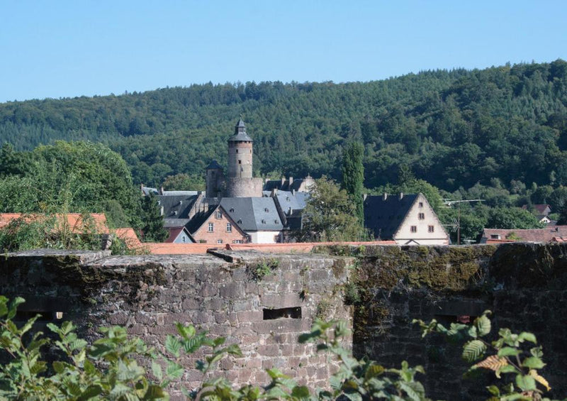 31849 Gebäude - Schloss Büdingen