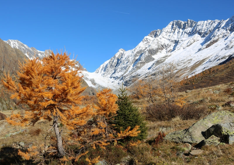 39298 Natur - Lötschental