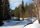 69833 Natur - Finnland
