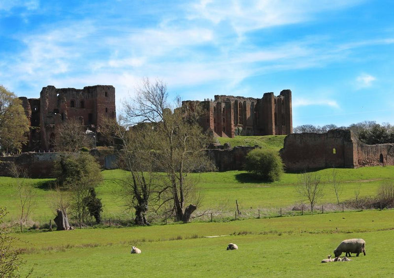 32446 Reisen - Kenilworth castle