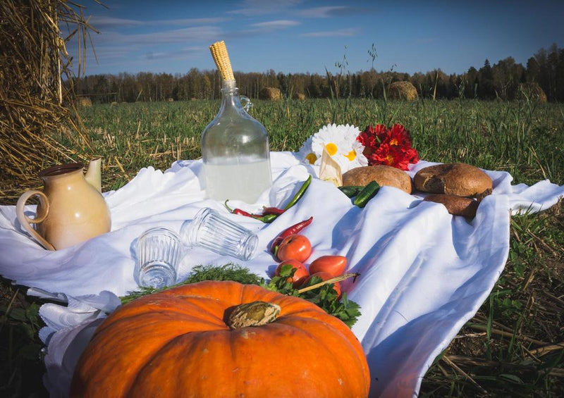 31988 Natur - Picknick