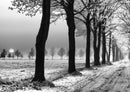 37289 Natur - Winter