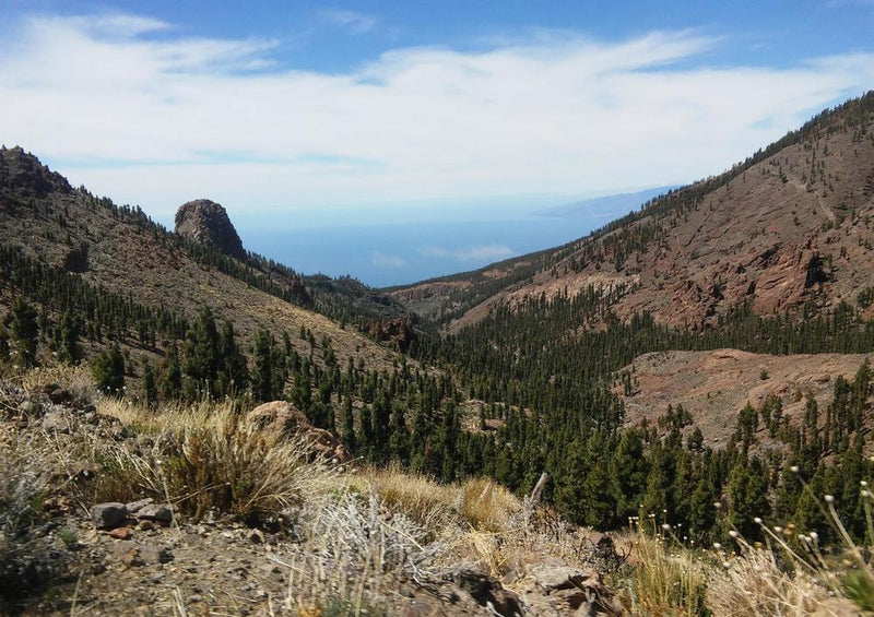 33390 Natur - Pico Del Teide