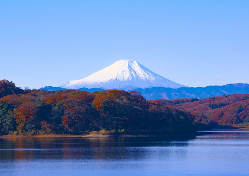 43113 Natur - Japan