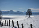 28224 Natur - Winterlandschaft