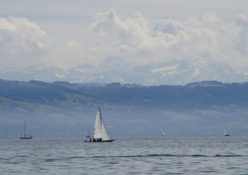 34859 Natur - Bodensee