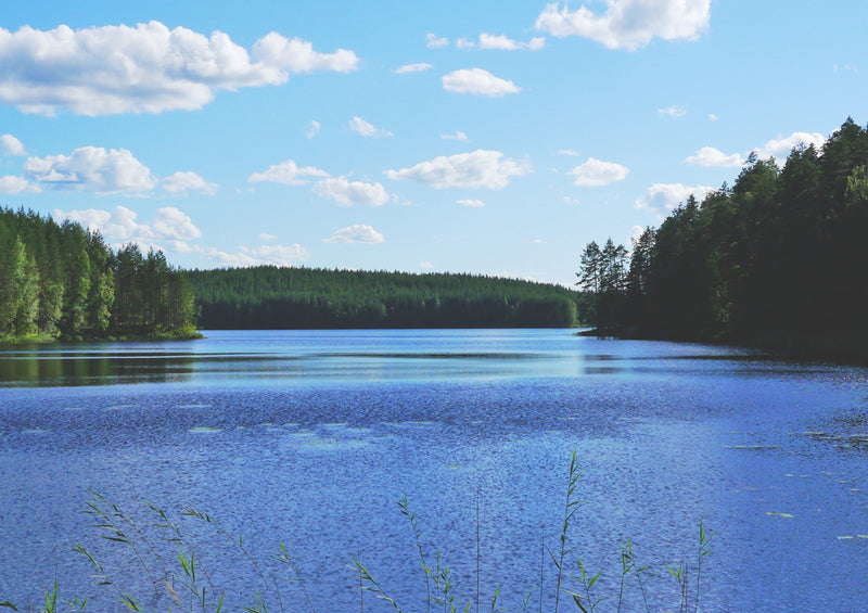 70005 Natur - Finnland