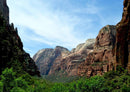 26331 Natur - Zion Nationalpark